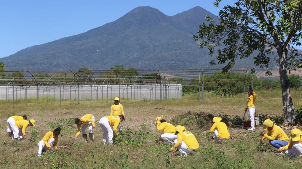 Más de 900 privadas de libertad realizan labores agrícolas en cárcel de Zacatecoluca mas-de-900-privadas-de-libertad-realizan-labores-agricolas-en-carcel-de-zacatecoluca
